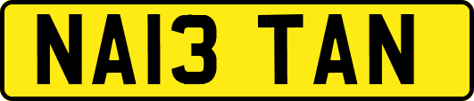 NA13TAN