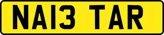 NA13TAR