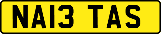 NA13TAS