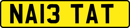 NA13TAT