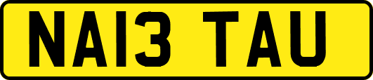 NA13TAU