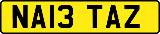 NA13TAZ