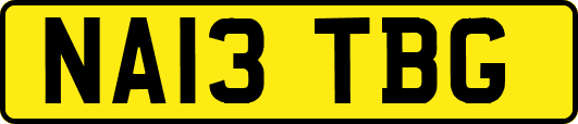 NA13TBG