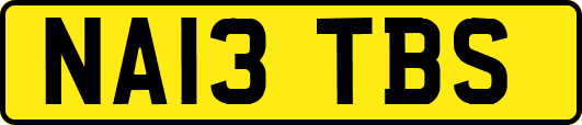 NA13TBS