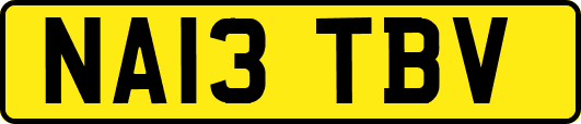 NA13TBV
