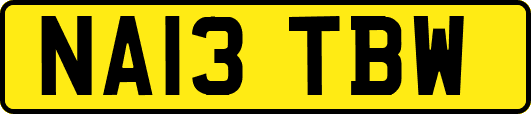 NA13TBW