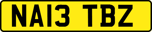 NA13TBZ