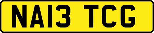 NA13TCG