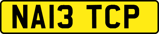 NA13TCP