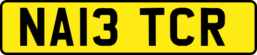NA13TCR
