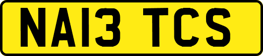 NA13TCS