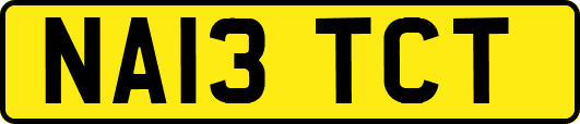 NA13TCT