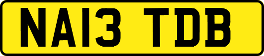 NA13TDB