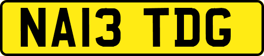 NA13TDG