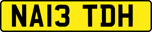 NA13TDH