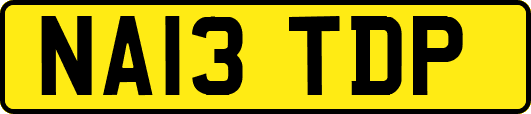 NA13TDP