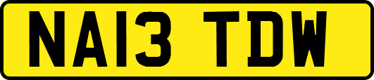 NA13TDW