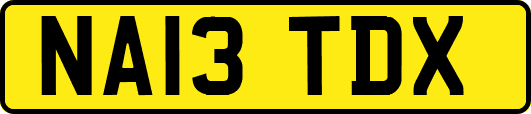 NA13TDX