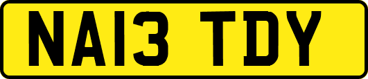 NA13TDY
