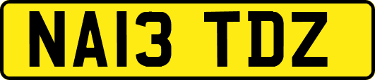 NA13TDZ