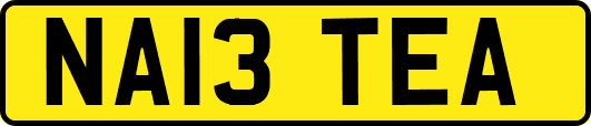 NA13TEA