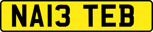 NA13TEB