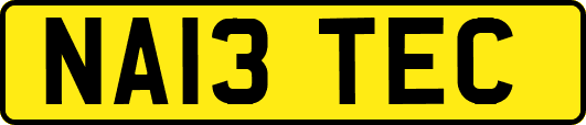 NA13TEC