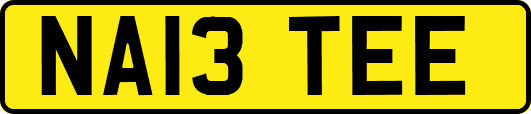 NA13TEE