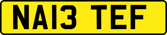NA13TEF