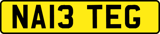NA13TEG