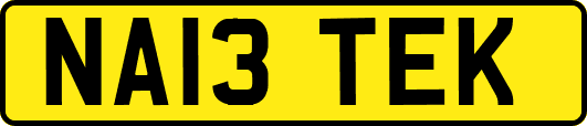 NA13TEK