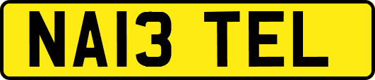 NA13TEL