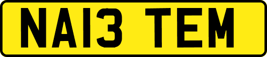 NA13TEM