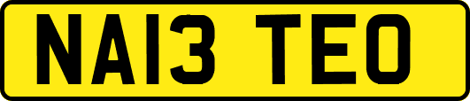 NA13TEO