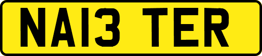 NA13TER