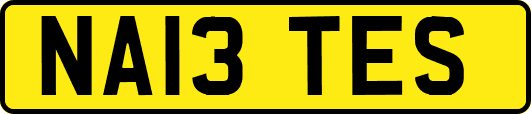 NA13TES