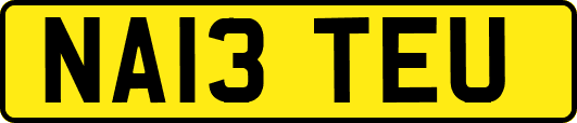 NA13TEU