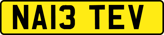 NA13TEV