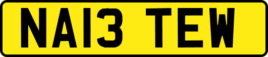 NA13TEW