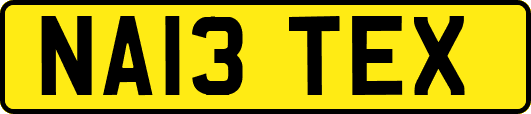 NA13TEX
