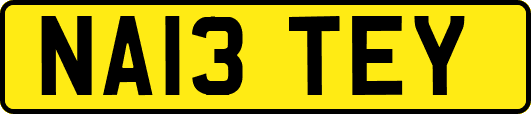 NA13TEY