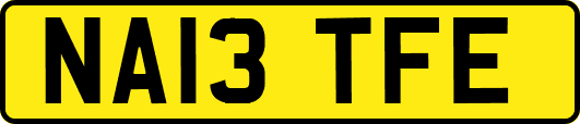 NA13TFE