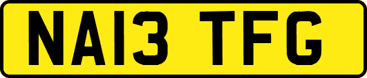 NA13TFG