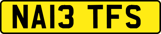 NA13TFS
