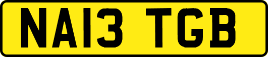 NA13TGB