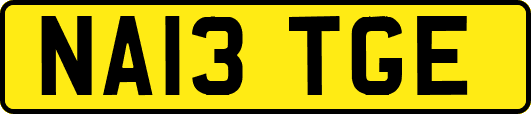 NA13TGE