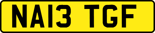 NA13TGF