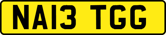 NA13TGG