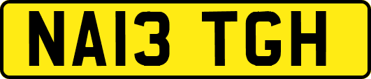 NA13TGH
