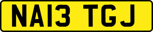 NA13TGJ